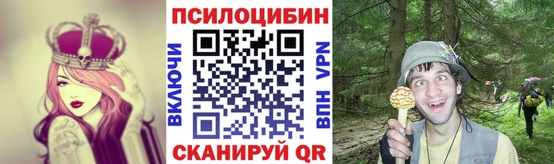 Псилоцибиновые грибы GOLDEN TEACHER  Россошь 